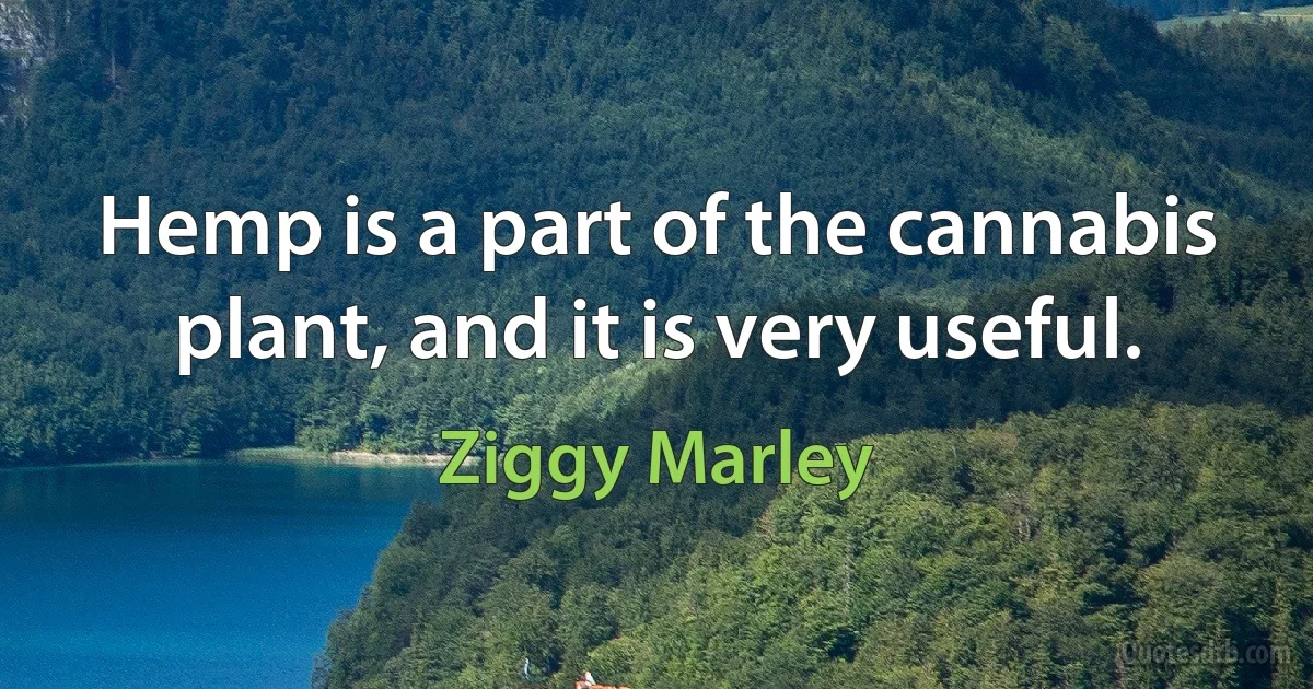 Hemp is a part of the cannabis plant, and it is very useful. (Ziggy Marley)