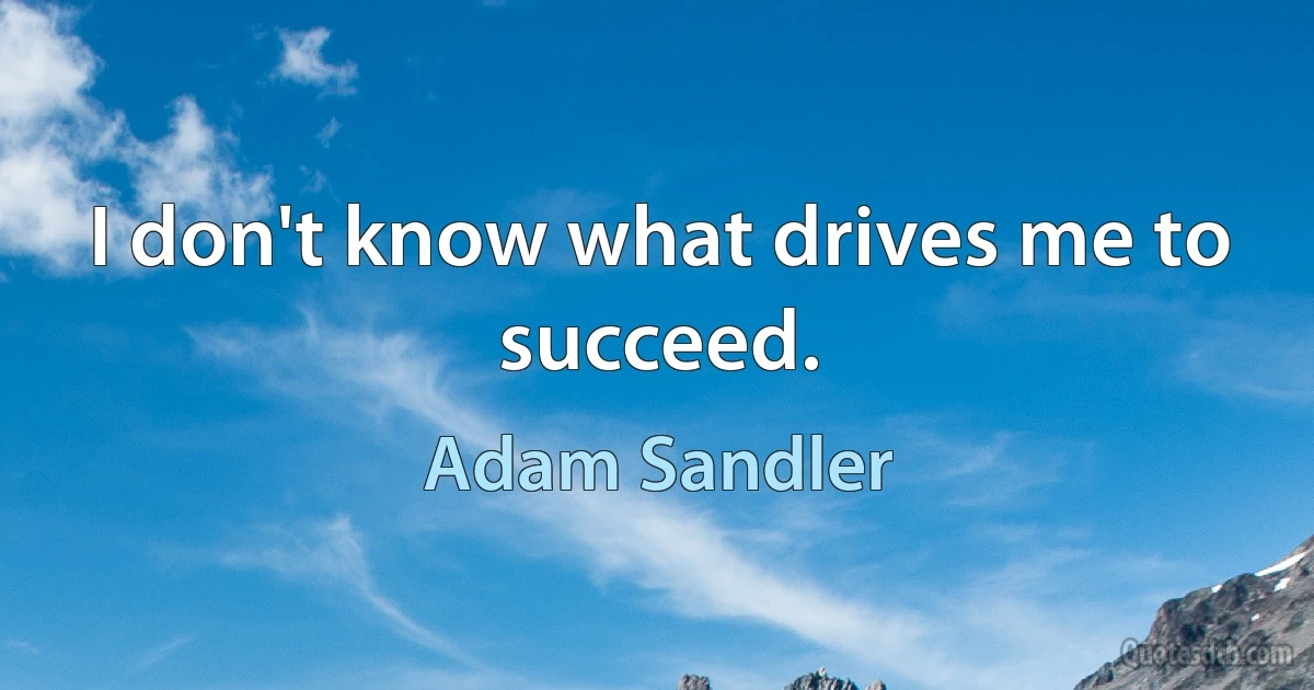 I don't know what drives me to succeed. (Adam Sandler)