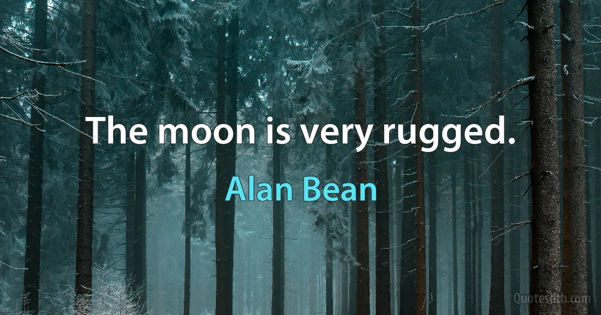 The moon is very rugged. (Alan Bean)