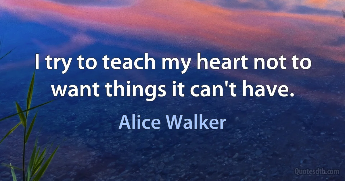 I try to teach my heart not to want things it can't have. (Alice Walker)