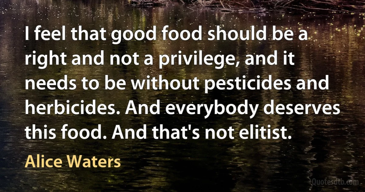 I feel that good food should be a right and not a privilege, and it needs to be without pesticides and herbicides. And everybody deserves this food. And that's not elitist. (Alice Waters)