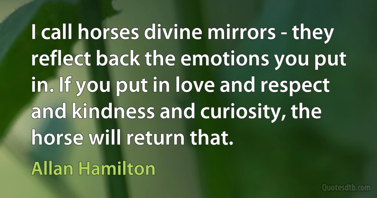 I call horses divine mirrors - they reflect back the emotions you put in. If you put in love and respect and kindness and curiosity, the horse will return that. (Allan Hamilton)