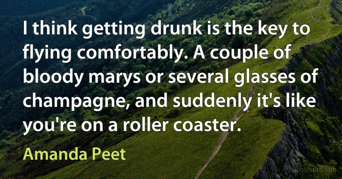 I think getting drunk is the key to flying comfortably. A couple of bloody marys or several glasses of champagne, and suddenly it's like you're on a roller coaster. (Amanda Peet)