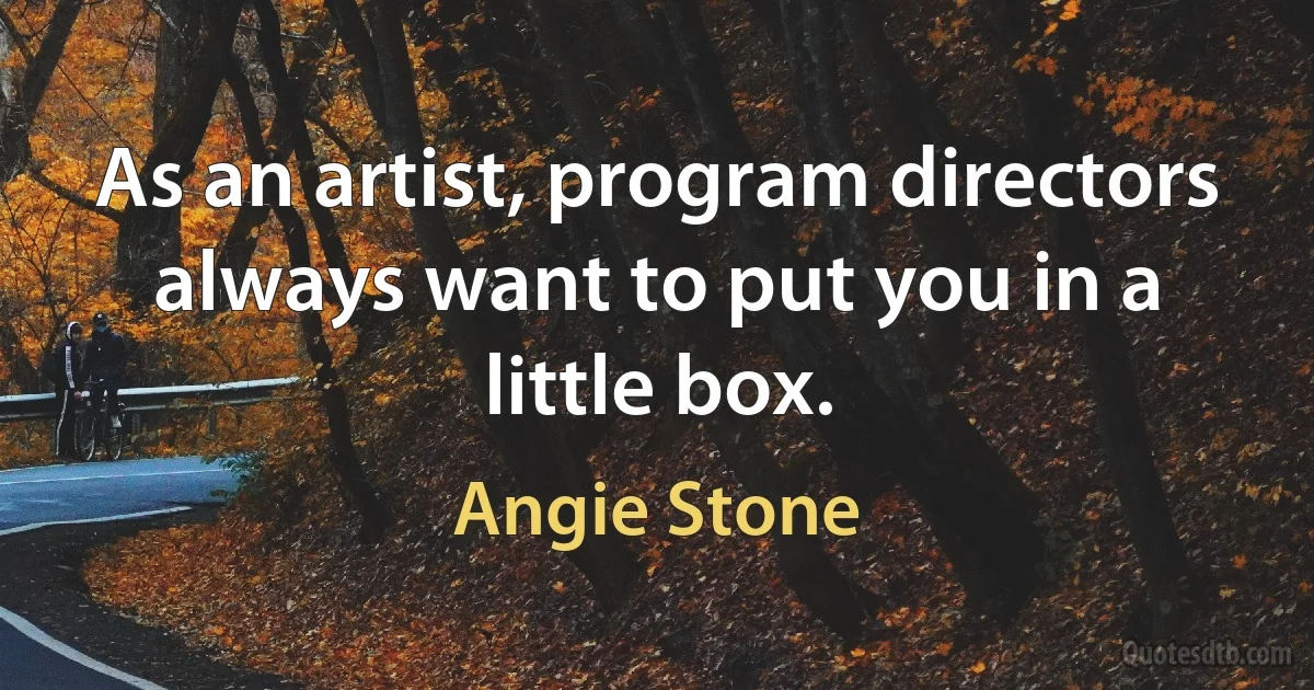 As an artist, program directors always want to put you in a little box. (Angie Stone)