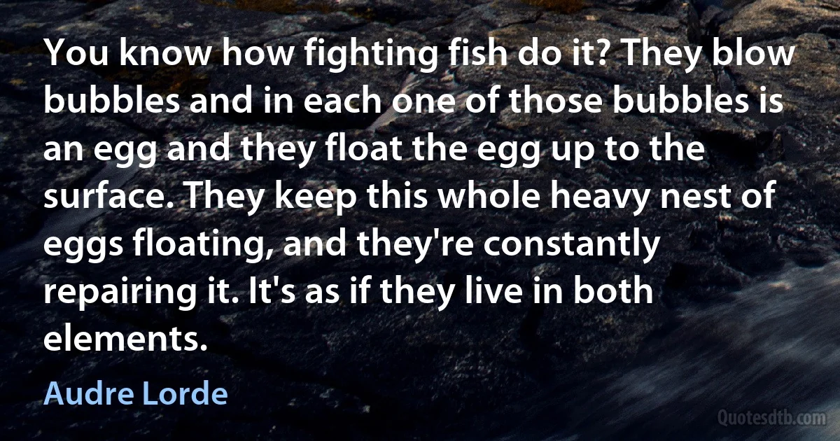 You know how fighting fish do it? They blow bubbles and in each one of those bubbles is an egg and they float the egg up to the surface. They keep this whole heavy nest of eggs floating, and they're constantly repairing it. It's as if they live in both elements. (Audre Lorde)