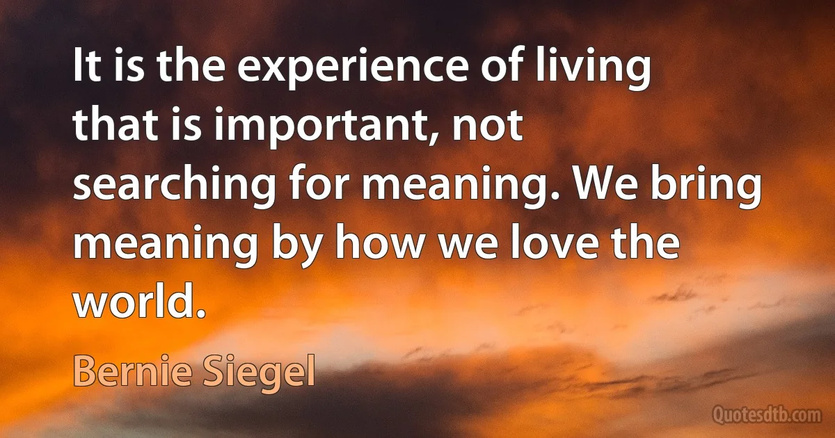 It is the experience of living that is important, not searching for meaning. We bring meaning by how we love the world. (Bernie Siegel)