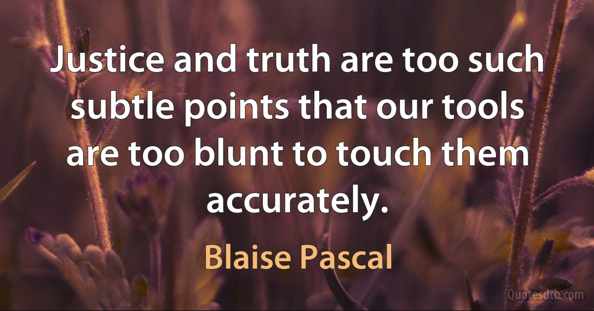 Justice and truth are too such subtle points that our tools are too blunt to touch them accurately. (Blaise Pascal)