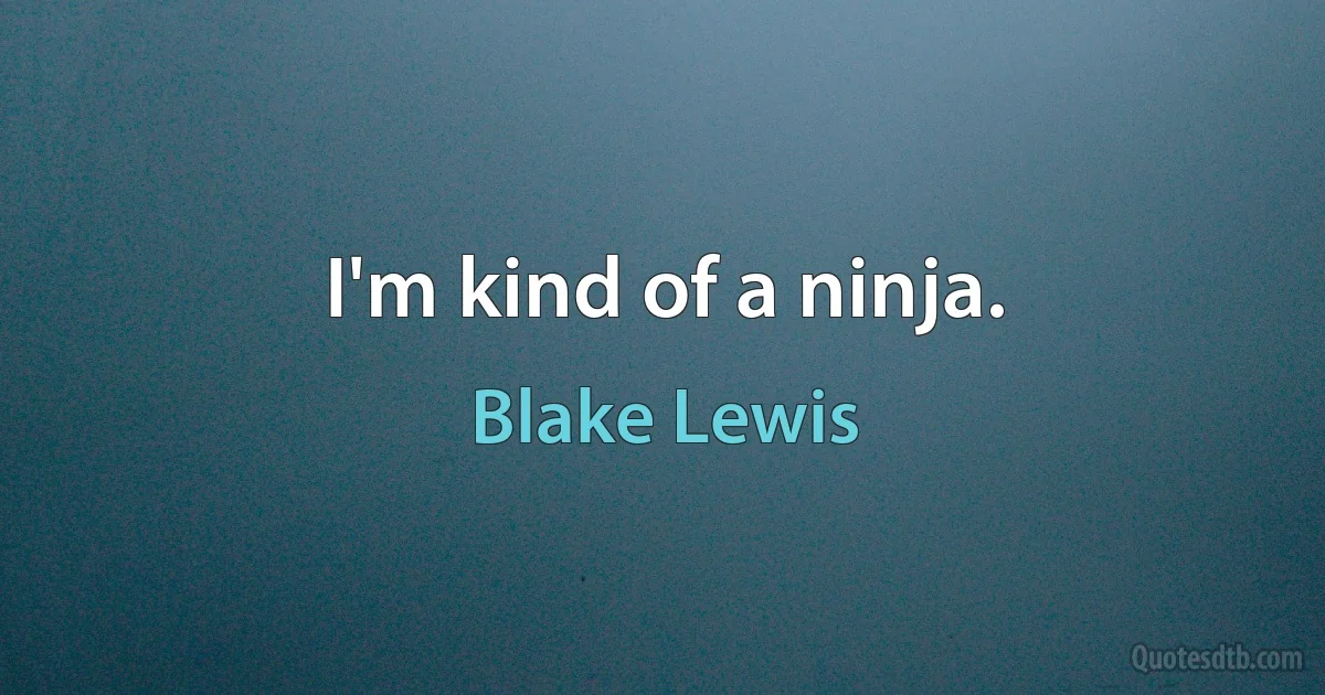 I'm kind of a ninja. (Blake Lewis)