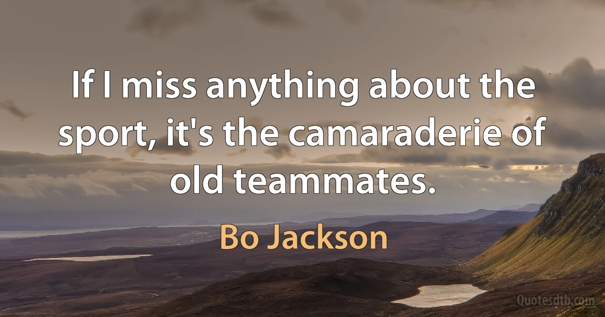 If I miss anything about the sport, it's the camaraderie of old teammates. (Bo Jackson)