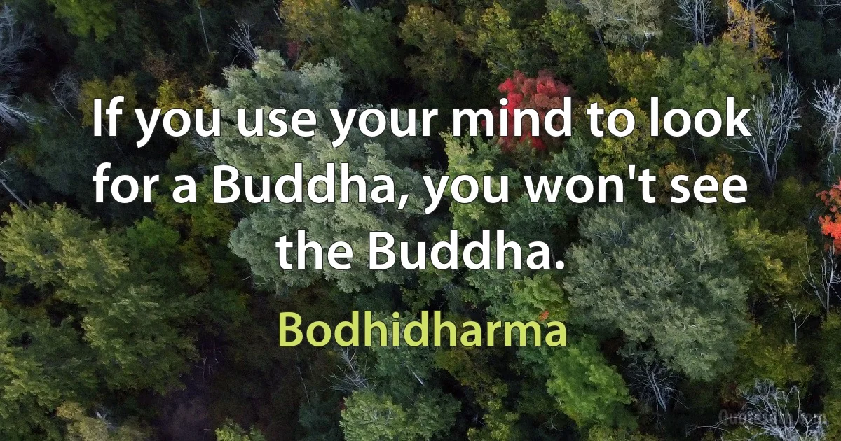 If you use your mind to look for a Buddha, you won't see the Buddha. (Bodhidharma)