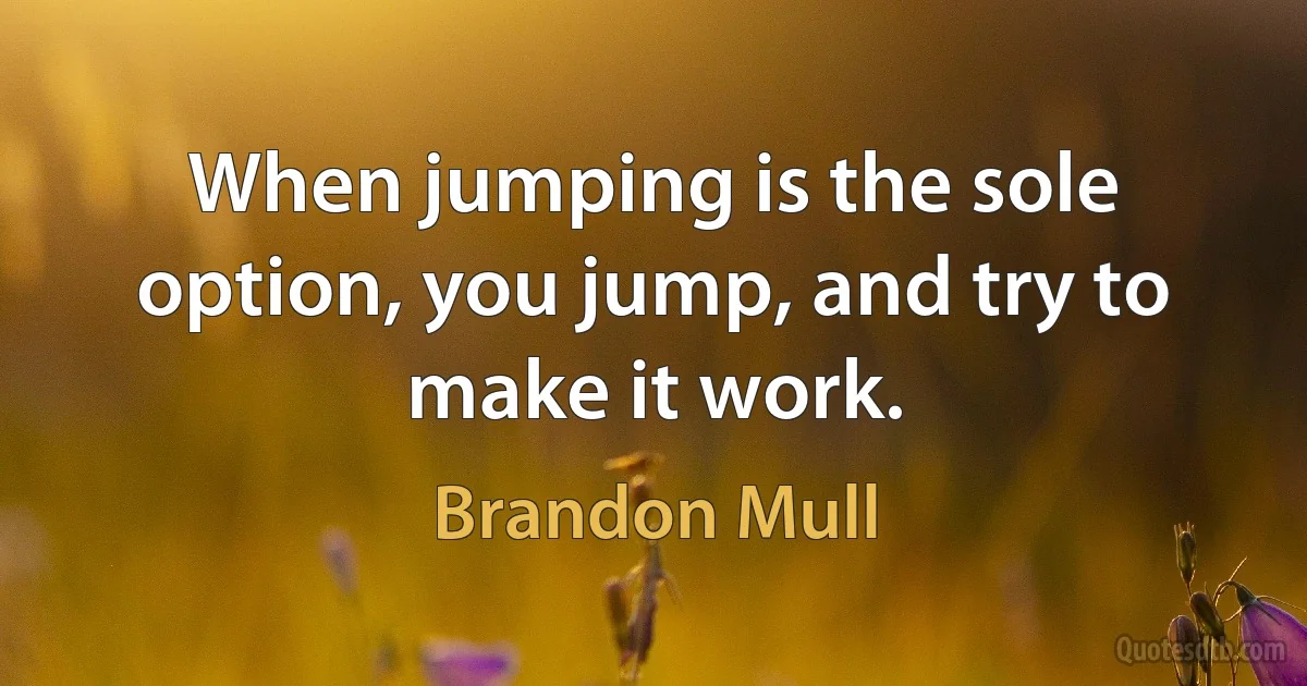 When jumping is the sole option, you jump, and try to make it work. (Brandon Mull)