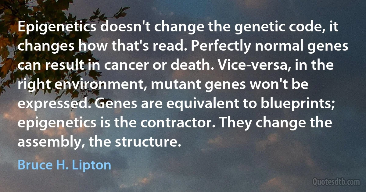 Epigenetics doesn't change the genetic code, it changes how that's read. Perfectly normal genes can result in cancer or death. Vice-versa, in the right environment, mutant genes won't be expressed. Genes are equivalent to blueprints; epigenetics is the contractor. They change the assembly, the structure. (Bruce H. Lipton)