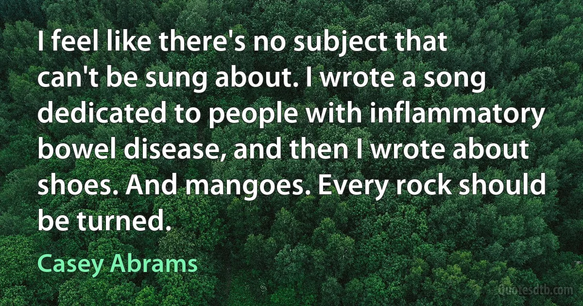 I feel like there's no subject that can't be sung about. I wrote a song dedicated to people with inflammatory bowel disease, and then I wrote about shoes. And mangoes. Every rock should be turned. (Casey Abrams)