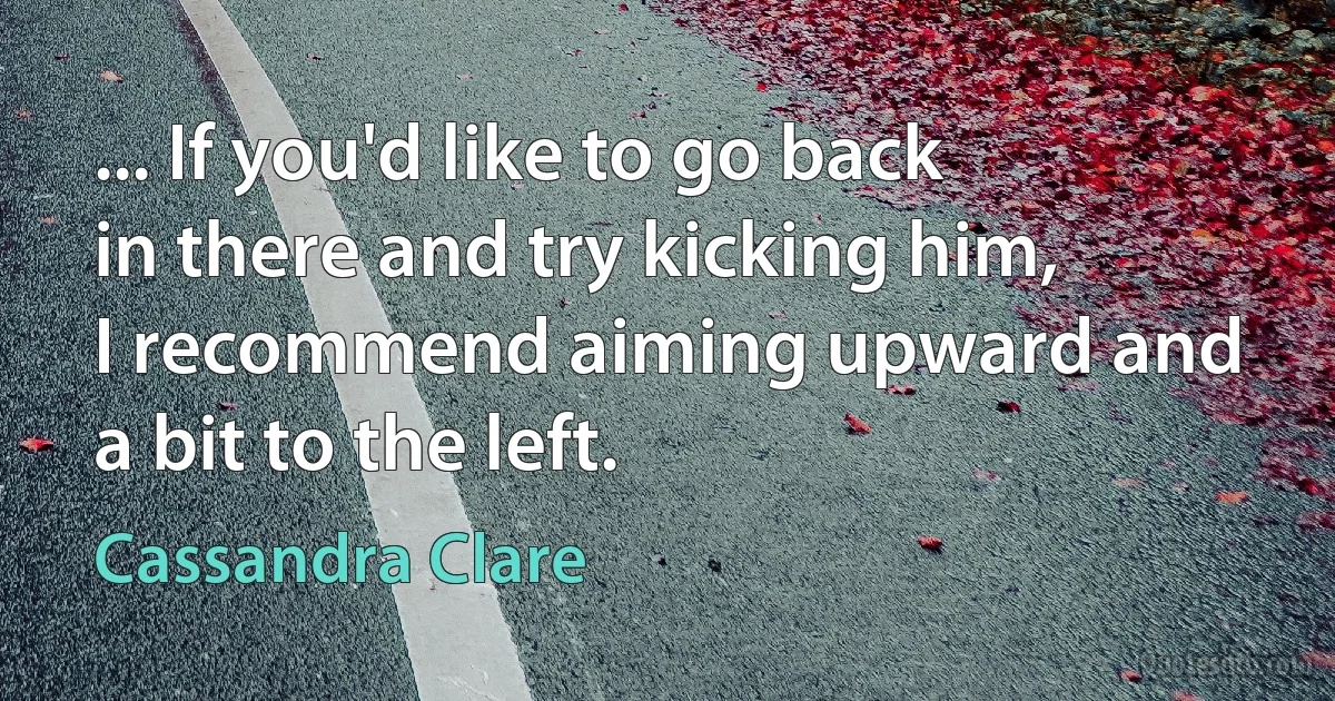 ... If you'd like to go back in there and try kicking him, I recommend aiming upward and a bit to the left. (Cassandra Clare)