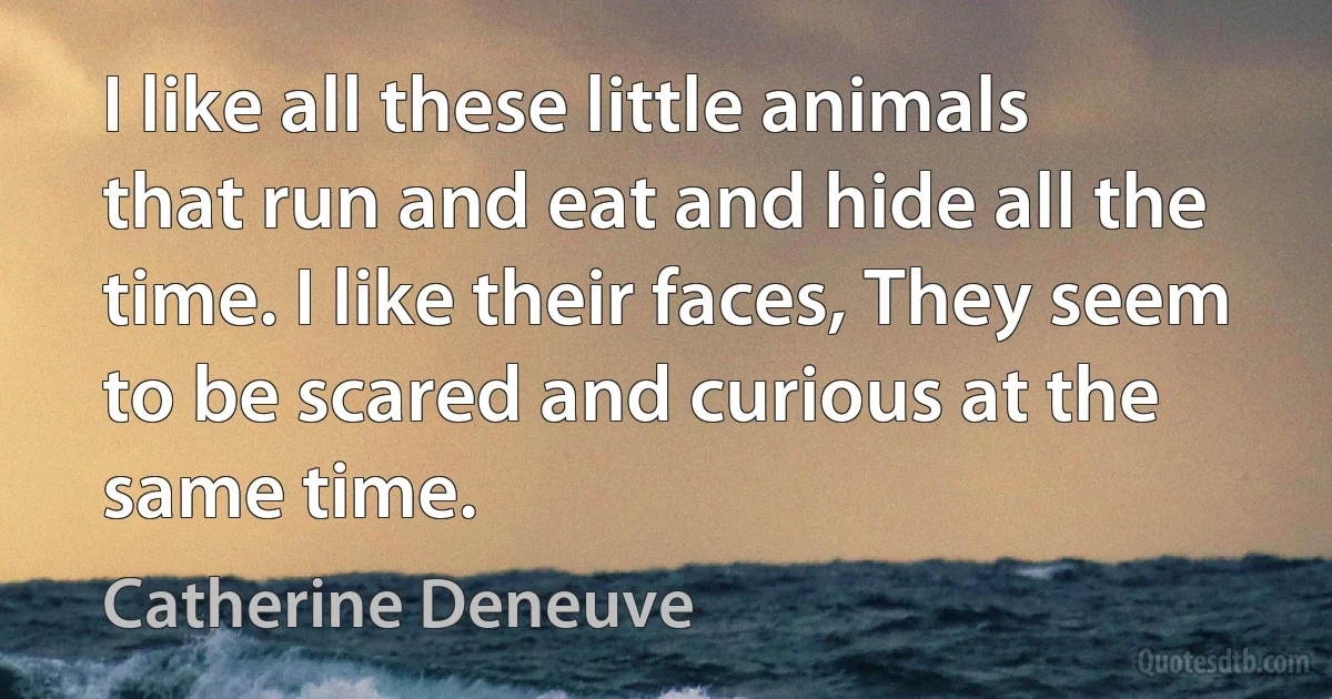 I like all these little animals that run and eat and hide all the time. I like their faces, They seem to be scared and curious at the same time. (Catherine Deneuve)