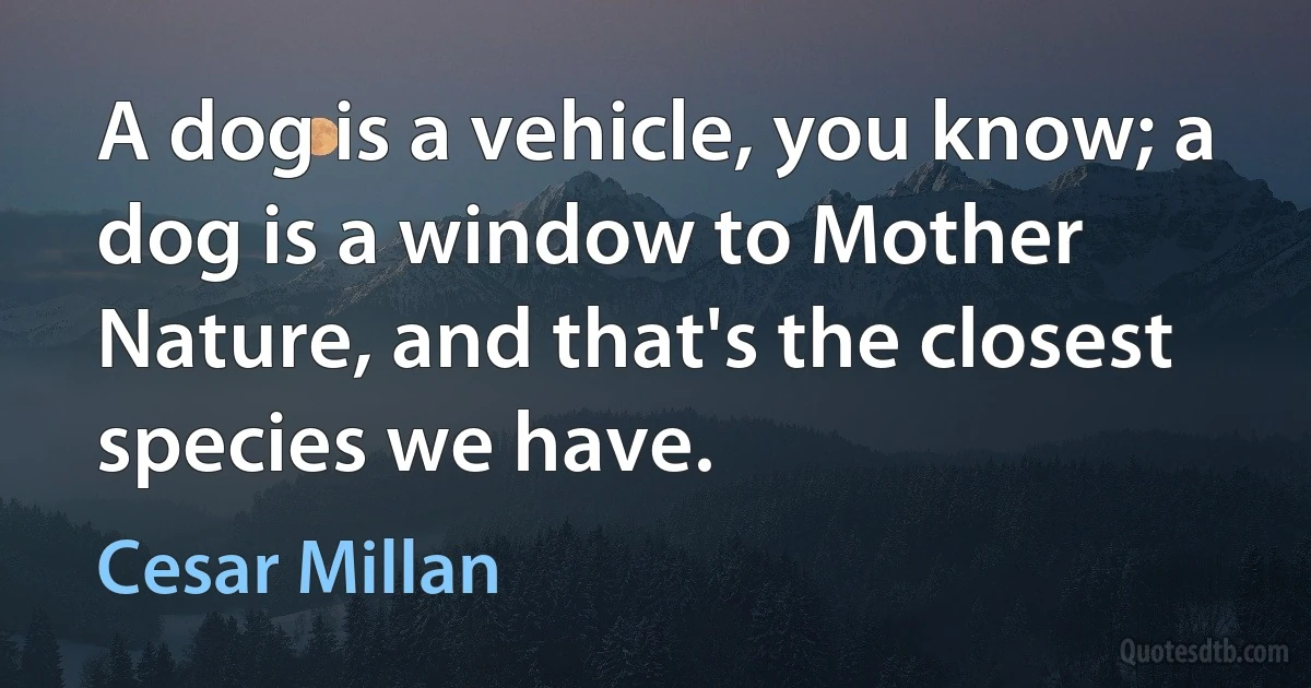 A dog is a vehicle, you know; a dog is a window to Mother Nature, and that's the closest species we have. (Cesar Millan)