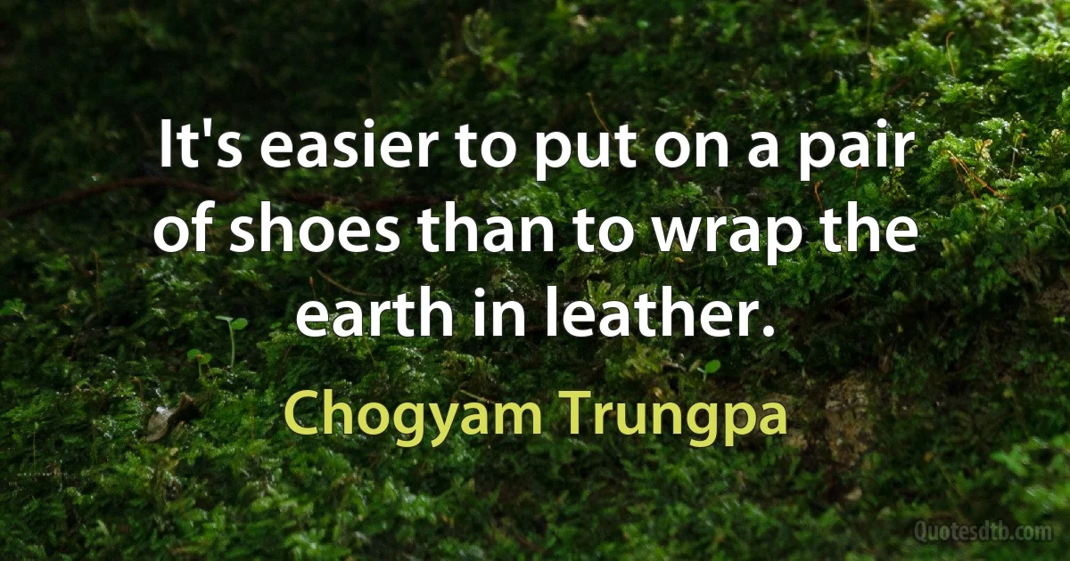 It's easier to put on a pair of shoes than to wrap the earth in leather. (Chogyam Trungpa)