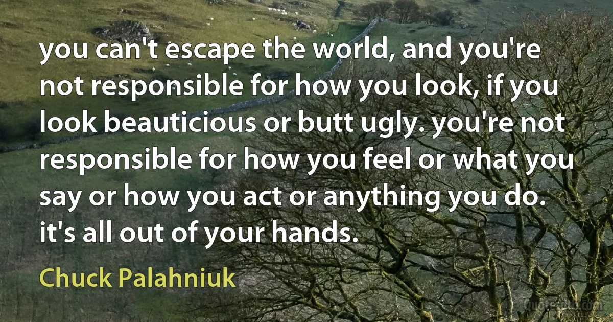 you can't escape the world, and you're not responsible for how you look, if you look beauticious or butt ugly. you're not responsible for how you feel or what you say or how you act or anything you do. it's all out of your hands. (Chuck Palahniuk)