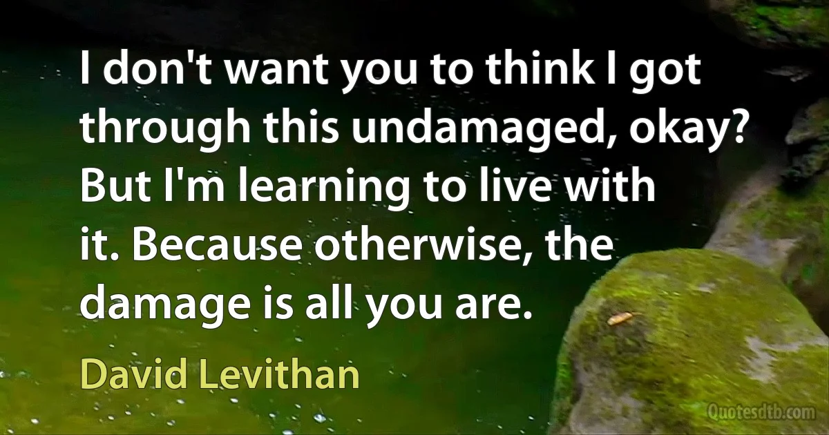 I don't want you to think I got through this undamaged, okay? But I'm learning to live with it. Because otherwise, the damage is all you are. (David Levithan)