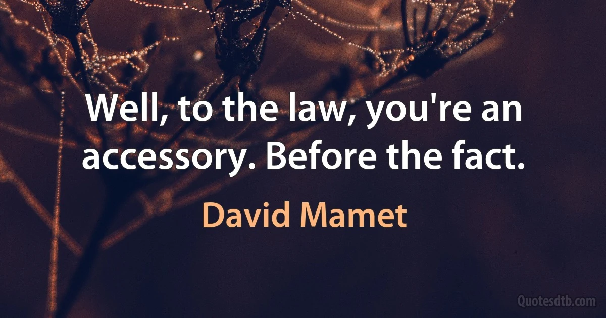 Well, to the law, you're an accessory. Before the fact. (David Mamet)