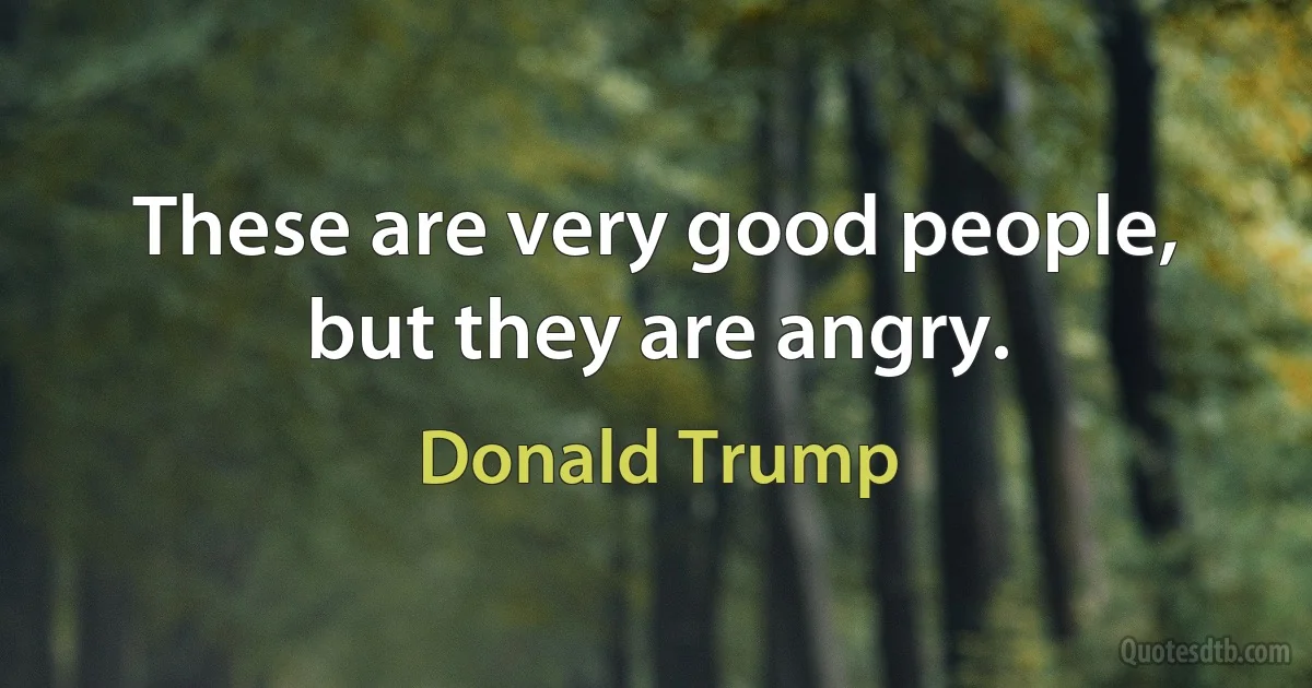 These are very good people, but they are angry. (Donald Trump)