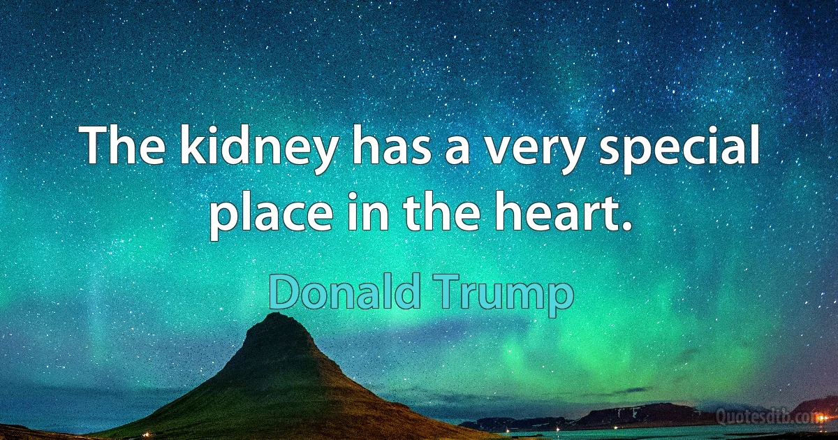 The kidney has a very special place in the heart. (Donald Trump)