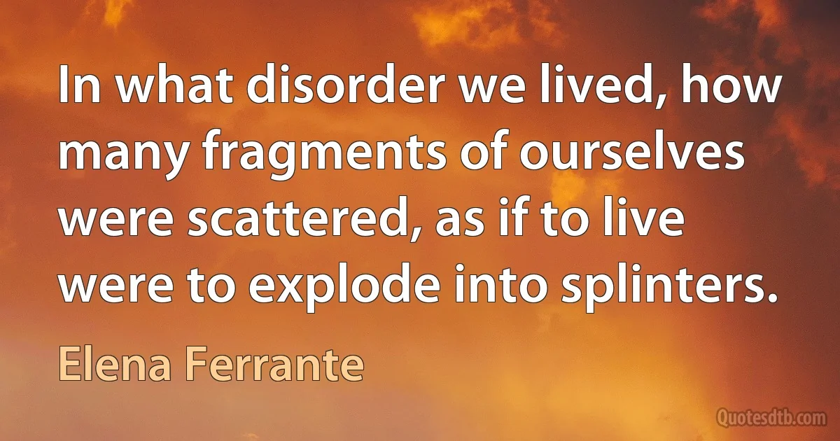 In what disorder we lived, how many fragments of ourselves were scattered, as if to live were to explode into splinters. (Elena Ferrante)