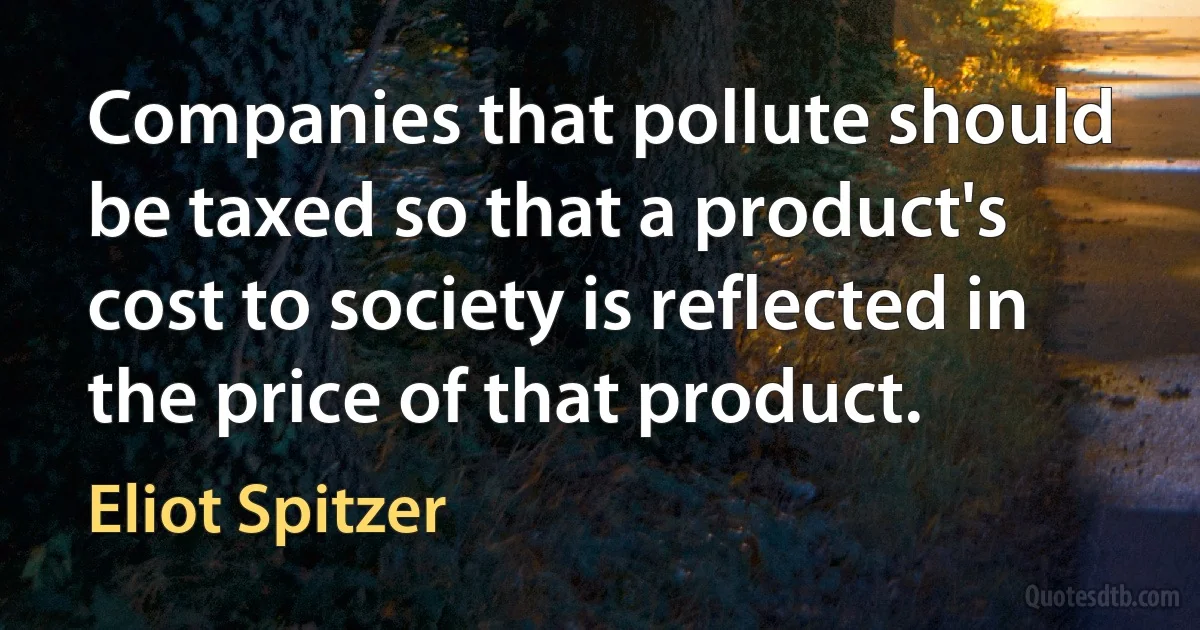 Companies that pollute should be taxed so that a product's cost to society is reflected in the price of that product. (Eliot Spitzer)