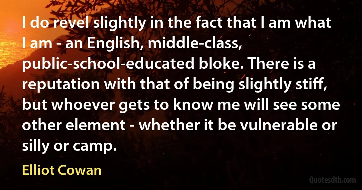 I do revel slightly in the fact that I am what I am - an English, middle-class, public-school-educated bloke. There is a reputation with that of being slightly stiff, but whoever gets to know me will see some other element - whether it be vulnerable or silly or camp. (Elliot Cowan)