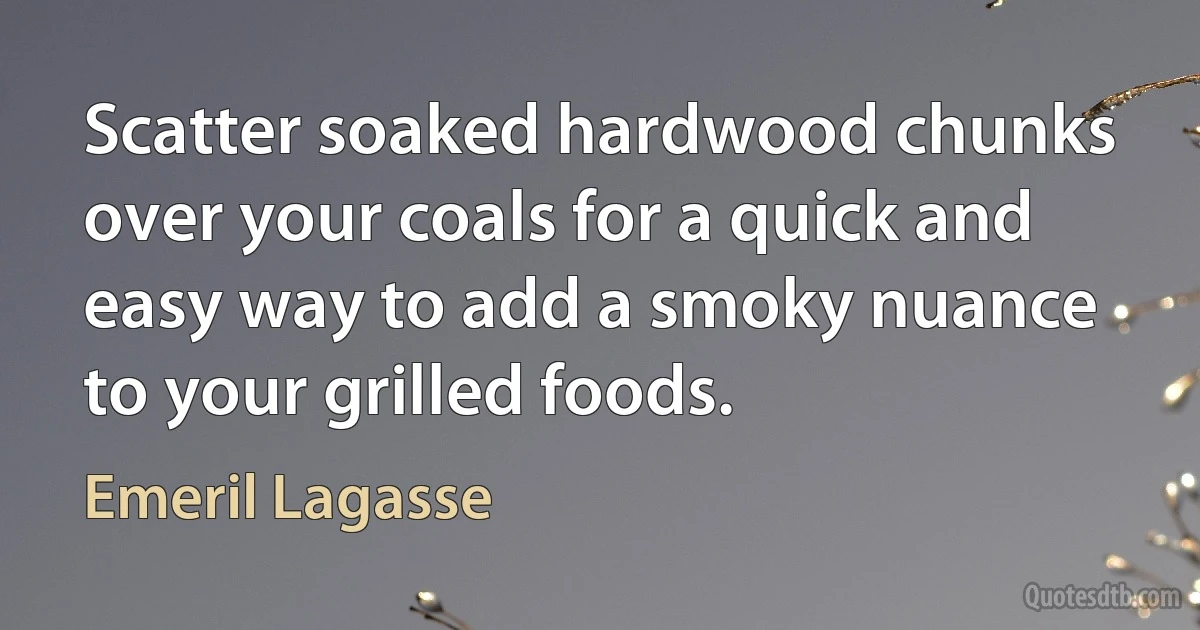 Scatter soaked hardwood chunks over your coals for a quick and easy way to add a smoky nuance to your grilled foods. (Emeril Lagasse)