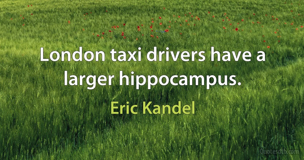 London taxi drivers have a larger hippocampus. (Eric Kandel)