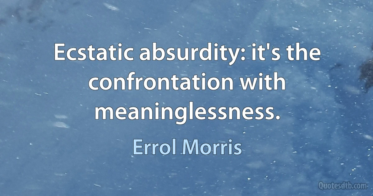 Ecstatic absurdity: it's the confrontation with meaninglessness. (Errol Morris)