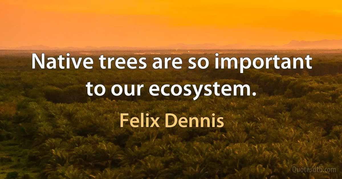 Native trees are so important to our ecosystem. (Felix Dennis)