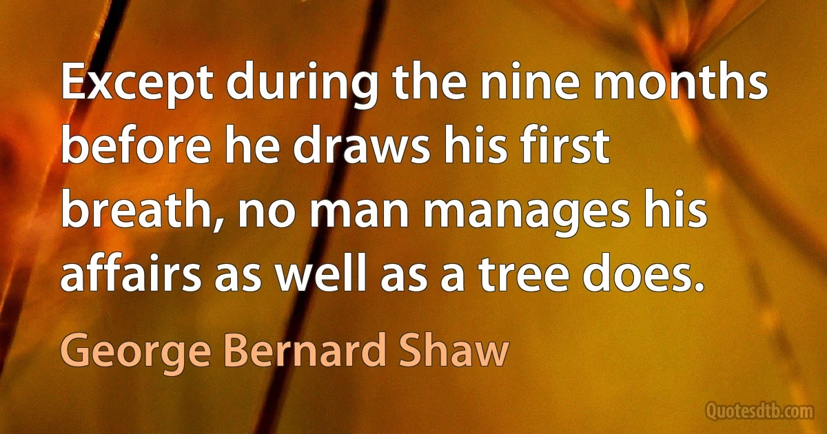 Except during the nine months before he draws his first breath, no man manages his affairs as well as a tree does. (George Bernard Shaw)