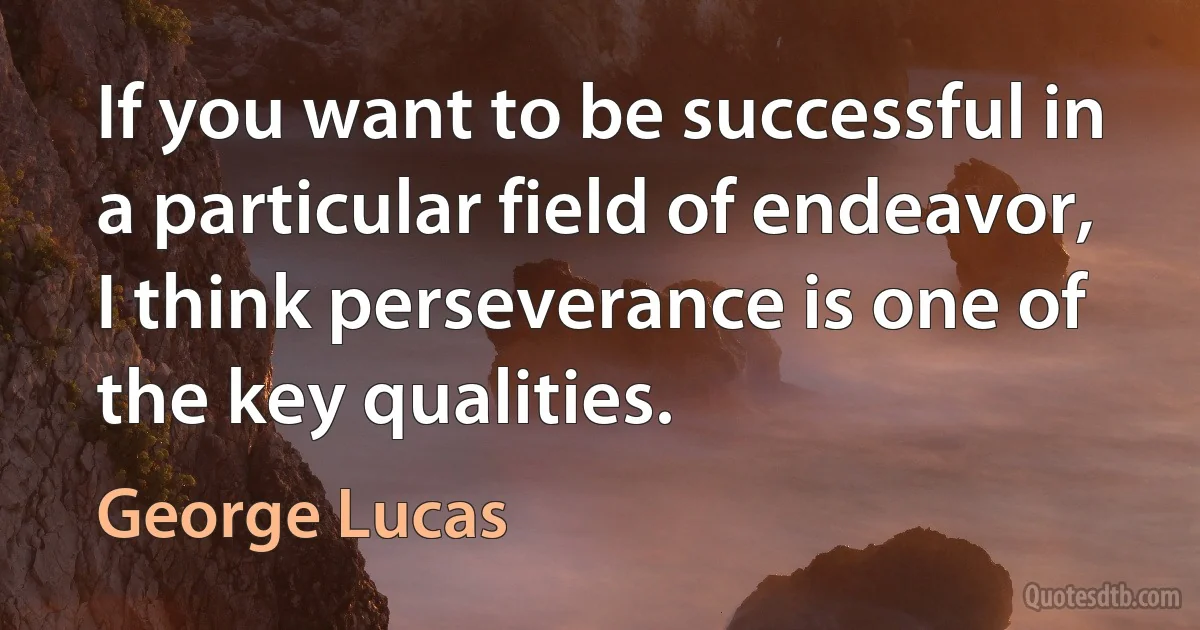 If you want to be successful in a particular field of endeavor, I think perseverance is one of the key qualities. (George Lucas)