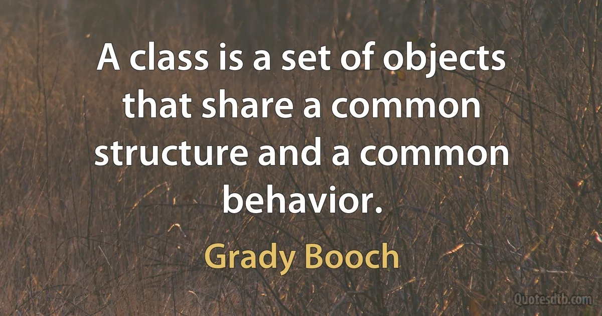 A class is a set of objects that share a common structure and a common behavior. (Grady Booch)