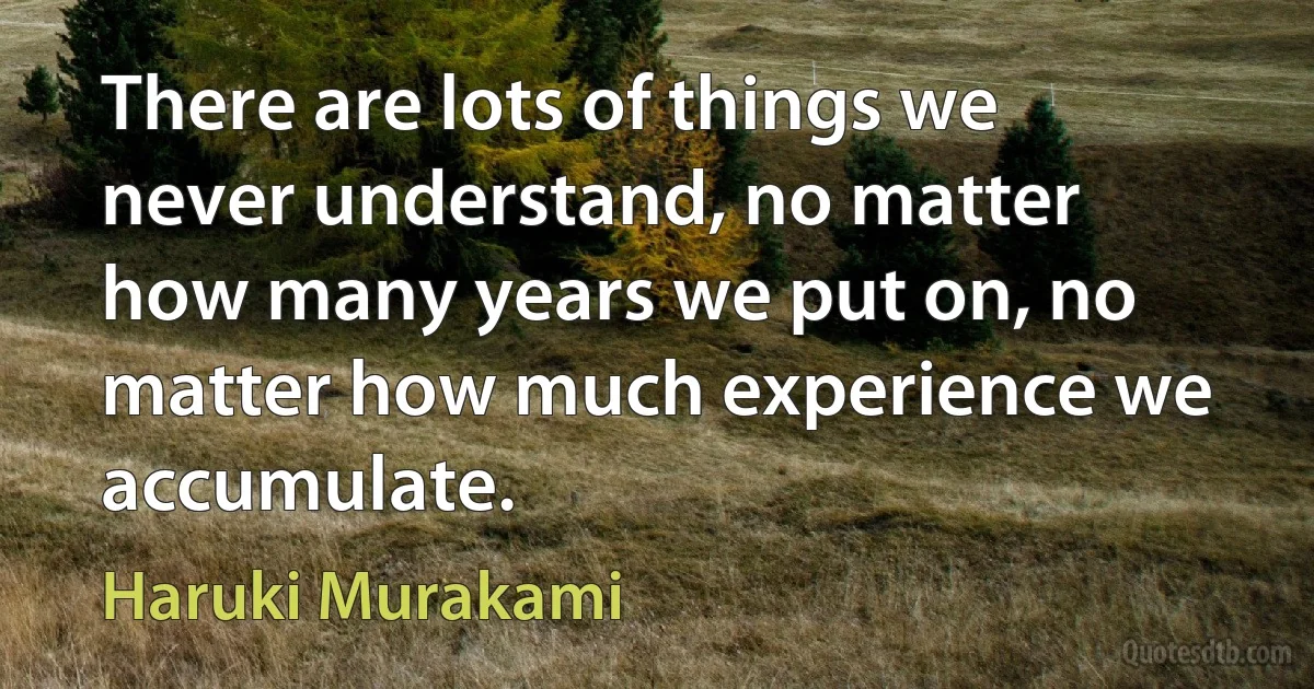 There are lots of things we never understand, no matter how many years we put on, no matter how much experience we accumulate. (Haruki Murakami)