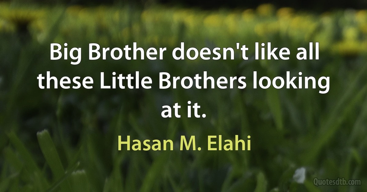 Big Brother doesn't like all these Little Brothers looking at it. (Hasan M. Elahi)