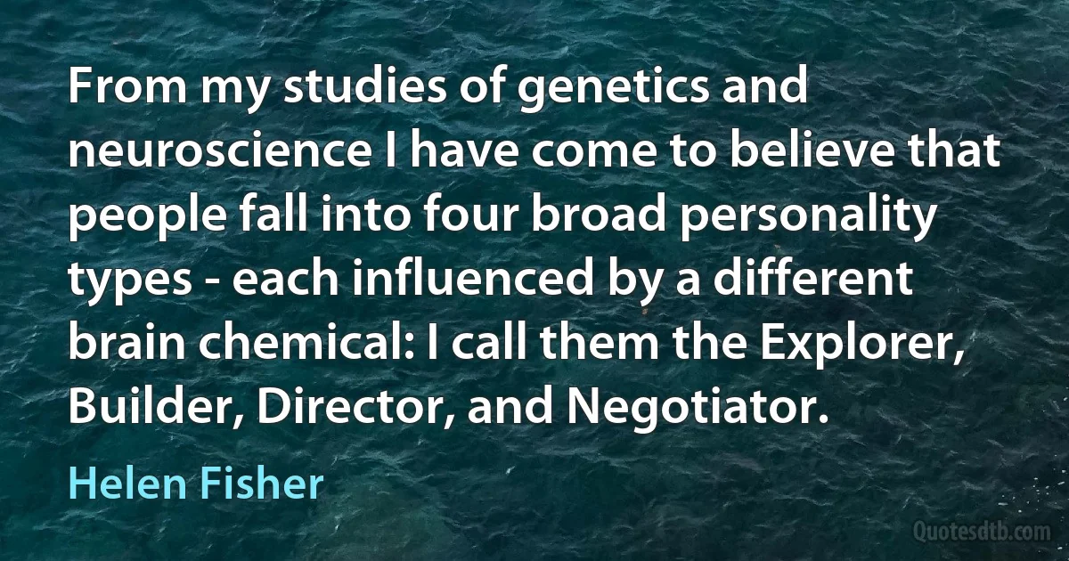 From my studies of genetics and neuroscience I have come to believe that people fall into four broad personality types - each influenced by a different brain chemical: I call them the Explorer, Builder, Director, and Negotiator. (Helen Fisher)