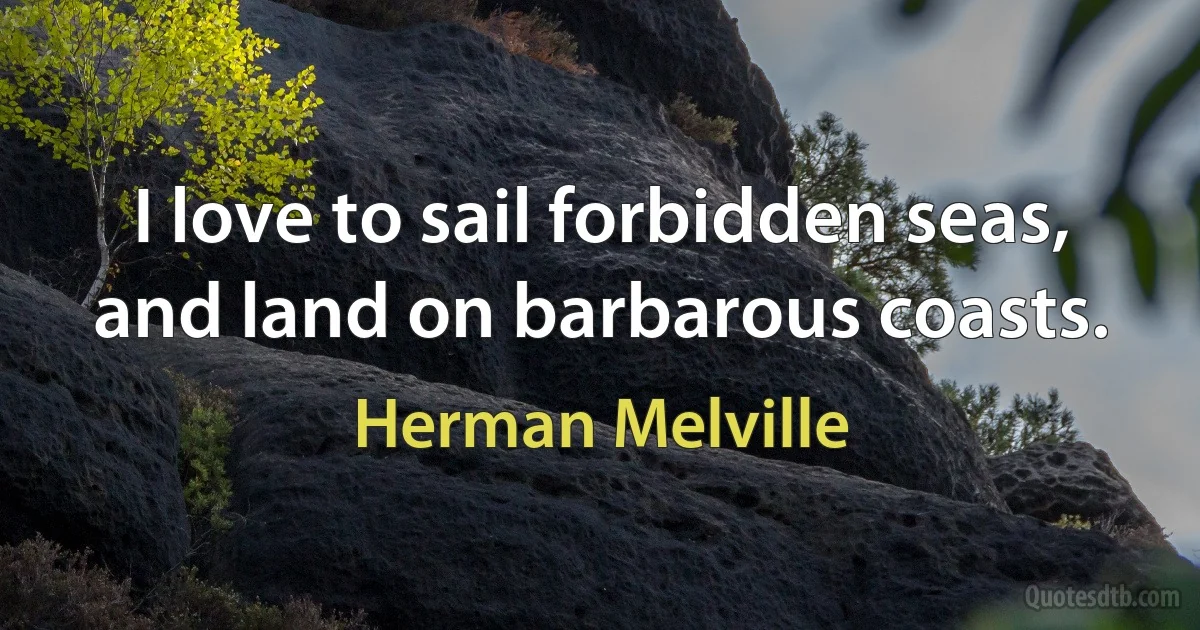 I love to sail forbidden seas, and land on barbarous coasts. (Herman Melville)