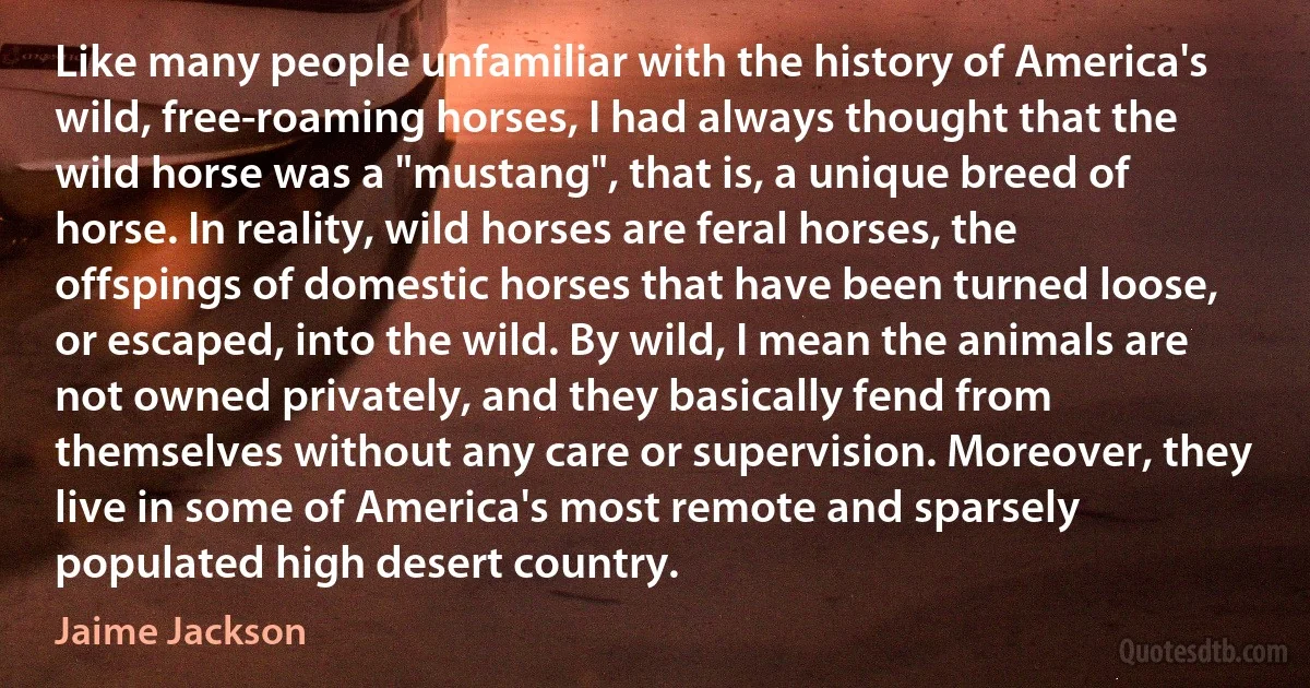 Like many people unfamiliar with the history of America's wild, free-roaming horses, I had always thought that the wild horse was a "mustang", that is, a unique breed of horse. In reality, wild horses are feral horses, the offspings of domestic horses that have been turned loose, or escaped, into the wild. By wild, I mean the animals are not owned privately, and they basically fend from themselves without any care or supervision. Moreover, they live in some of America's most remote and sparsely populated high desert country. (Jaime Jackson)