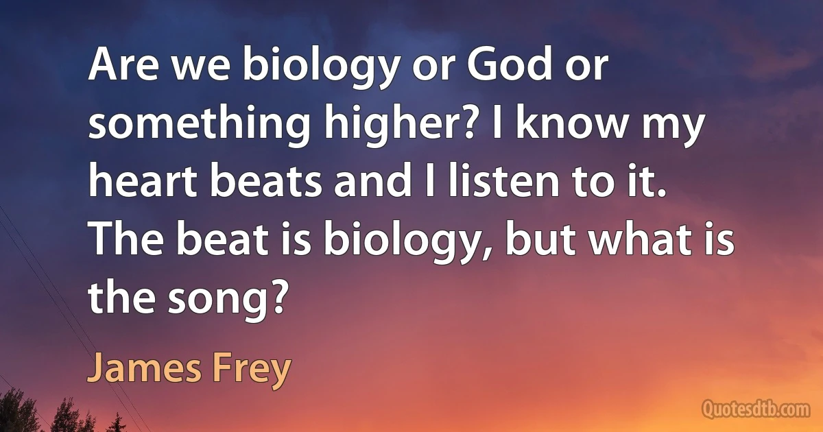 Are we biology or God or something higher? I know my heart beats and I listen to it. The beat is biology, but what is the song? (James Frey)