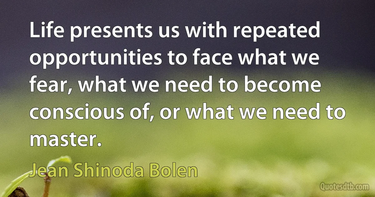 Life presents us with repeated opportunities to face what we fear, what we need to become conscious of, or what we need to master. (Jean Shinoda Bolen)