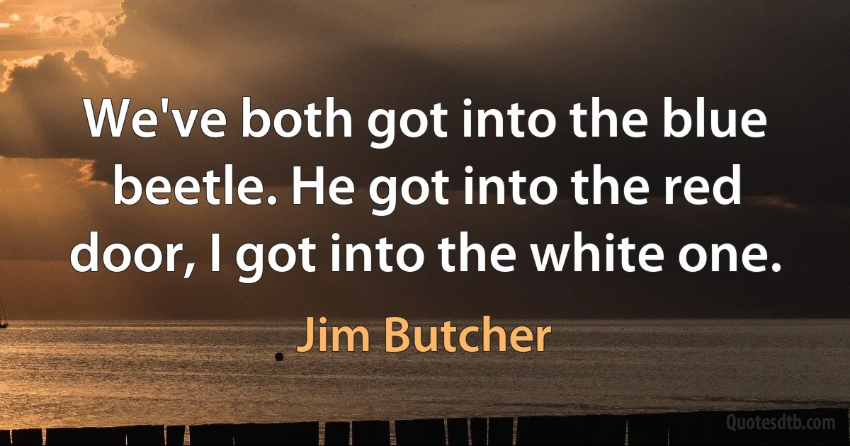 We've both got into the blue beetle. He got into the red door, I got into the white one. (Jim Butcher)