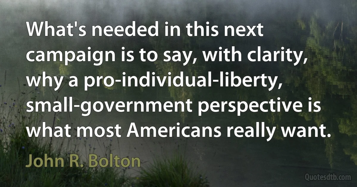 What's needed in this next campaign is to say, with clarity, why a pro-individual-liberty, small-government perspective is what most Americans really want. (John R. Bolton)