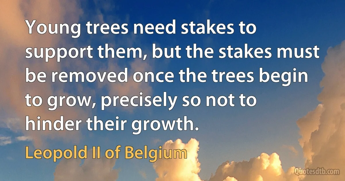 Young trees need stakes to support them, but the stakes must be removed once the trees begin to grow, precisely so not to hinder their growth. (Leopold II of Belgium)