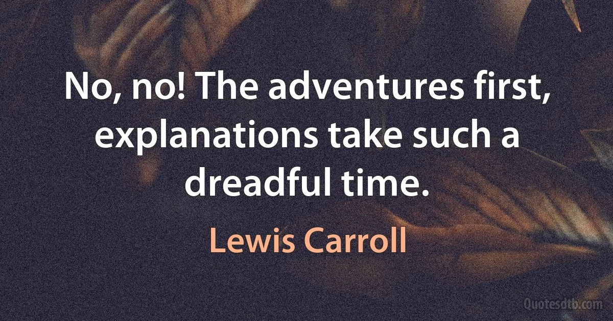 No, no! The adventures first, explanations take such a dreadful time. (Lewis Carroll)