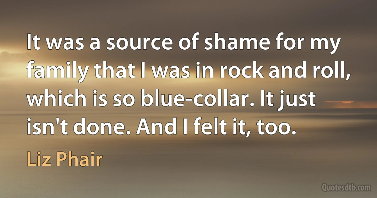 It was a source of shame for my family that I was in rock and roll, which is so blue-collar. It just isn't done. And I felt it, too. (Liz Phair)