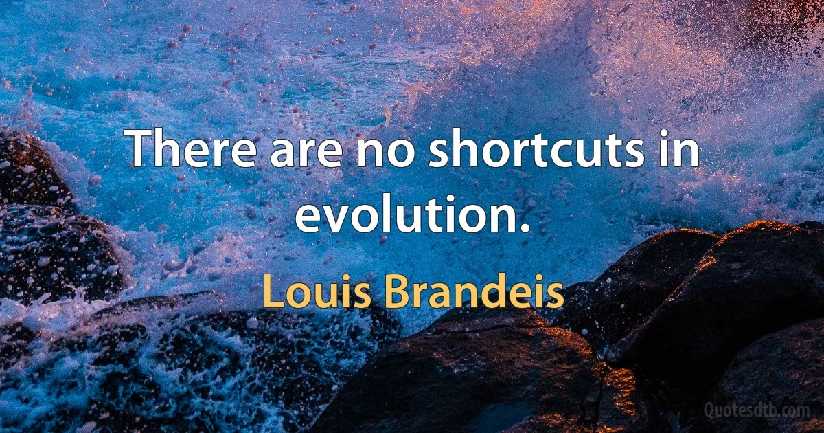 There are no shortcuts in evolution. (Louis Brandeis)