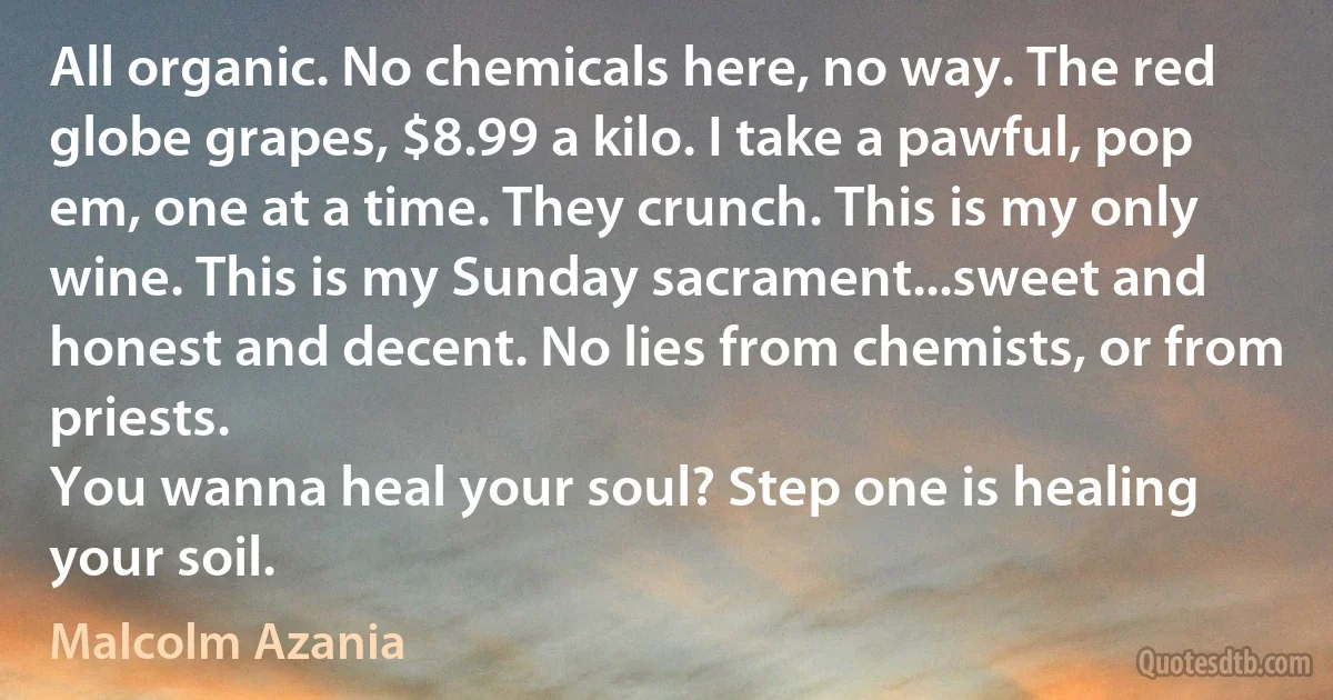 All organic. No chemicals here, no way. The red globe grapes, $8.99 a kilo. I take a pawful, pop em, one at a time. They crunch. This is my only wine. This is my Sunday sacrament...sweet and honest and decent. No lies from chemists, or from priests.
You wanna heal your soul? Step one is healing your soil. (Malcolm Azania)
